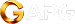 APEX Logo